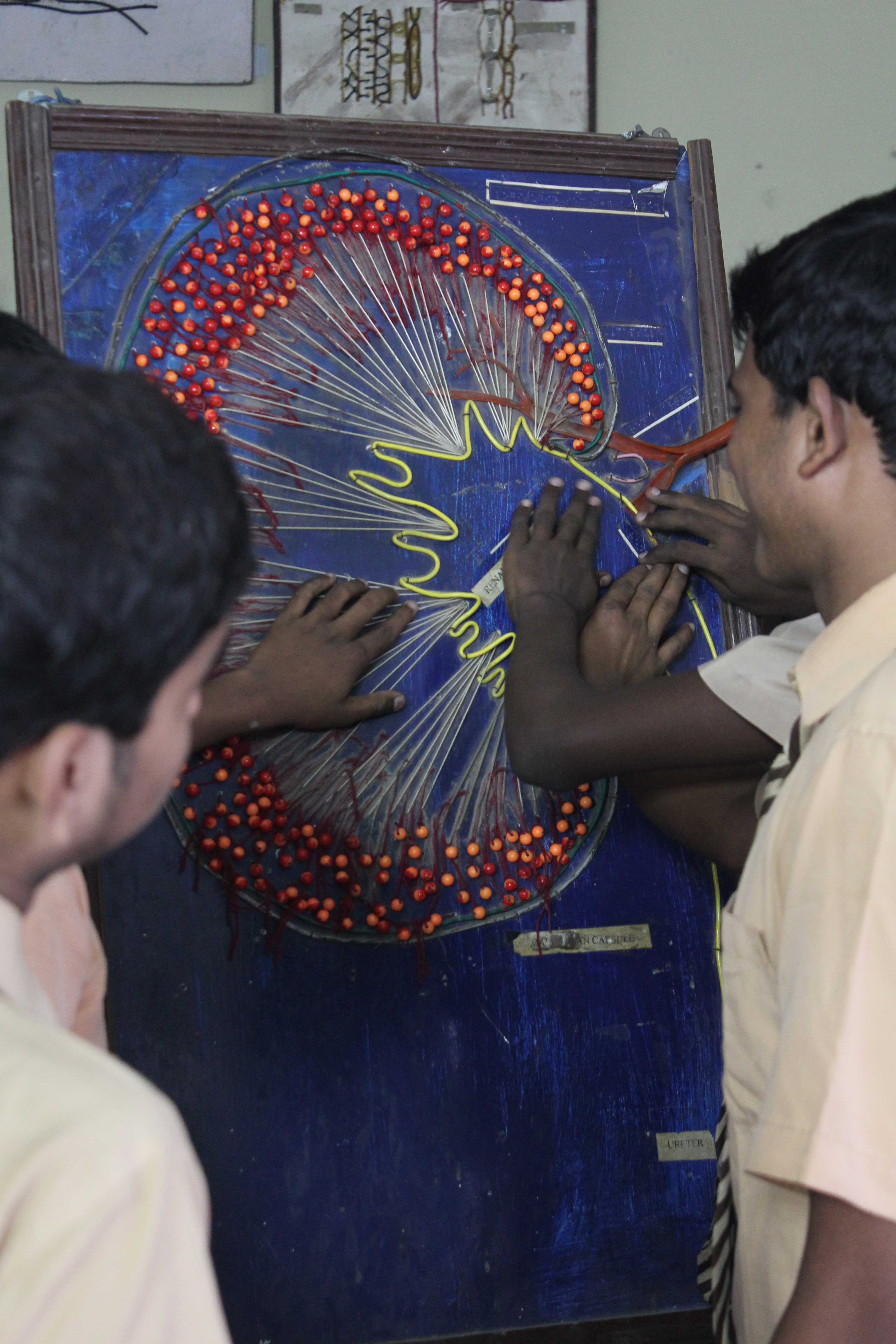 Making Science Accessible to India’s Visually Impaired Students Youth