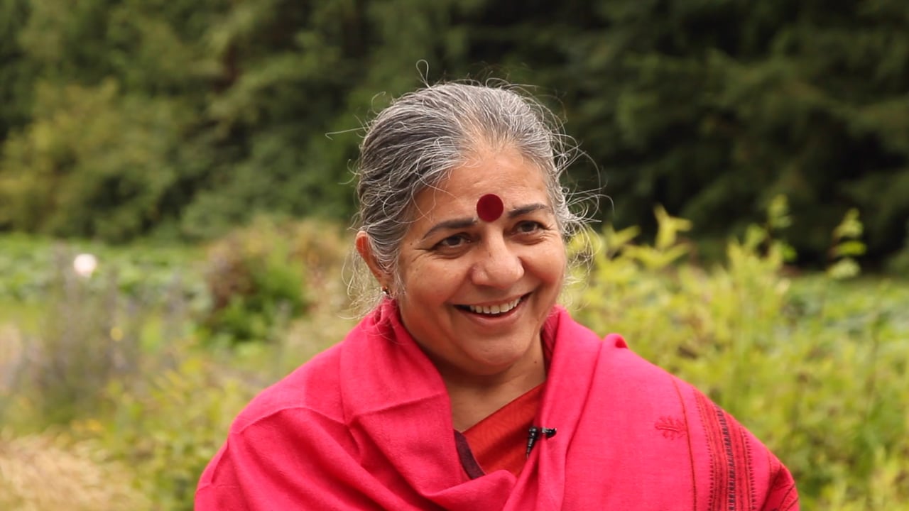 Who Is Vandana Shiva And Why Was She Called An Environmental Hero?