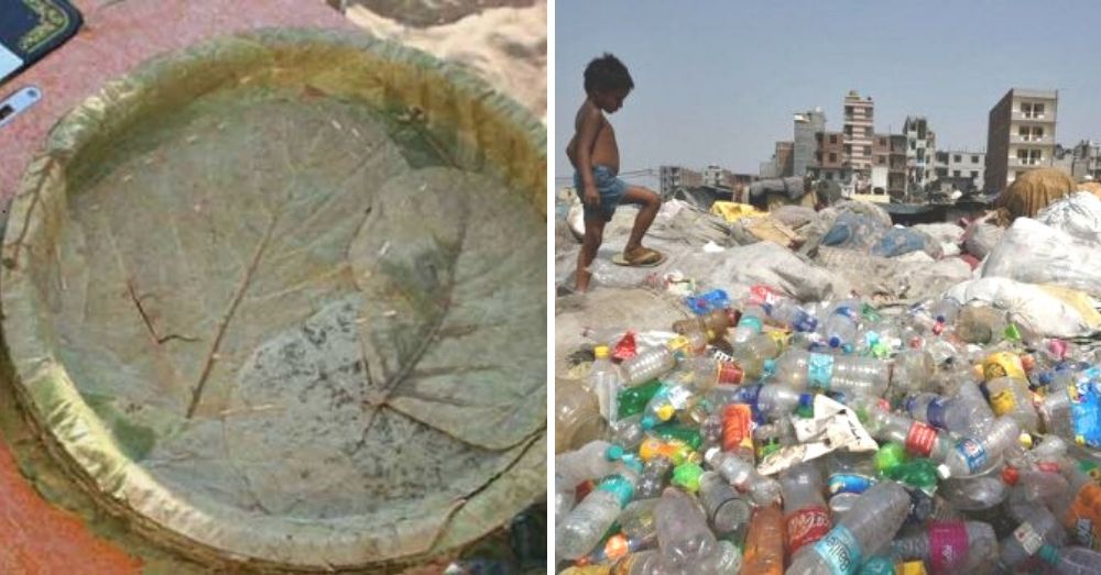 People Using Plastic Substatutes Life After Plastic: What Is Stopping Us From Turning To Organic ...