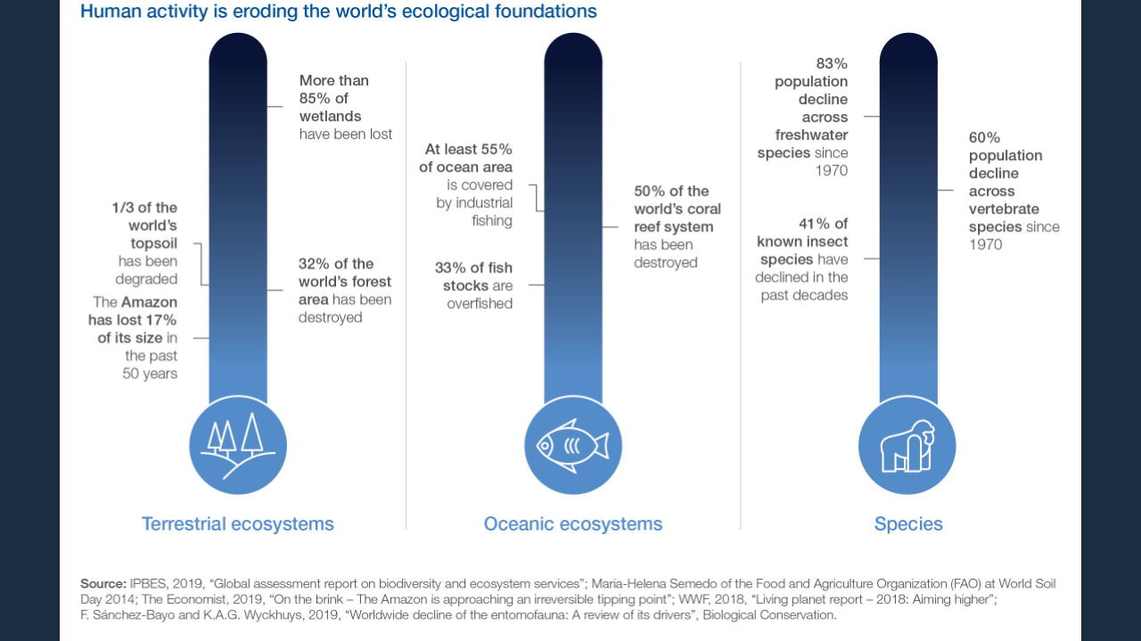 What Is Climate Emergency And Why India Needs To Be More Concerned? 2