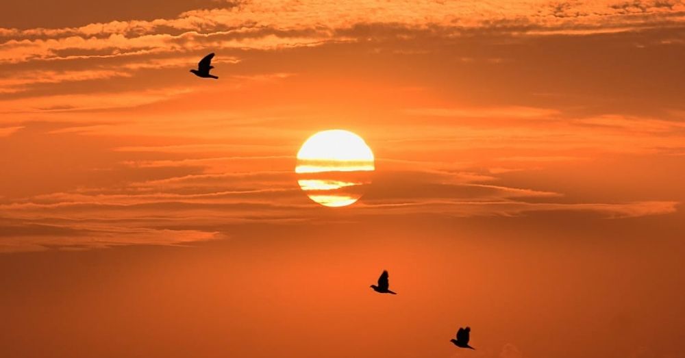 World Photography Day Kyon Manaya Jata Hai