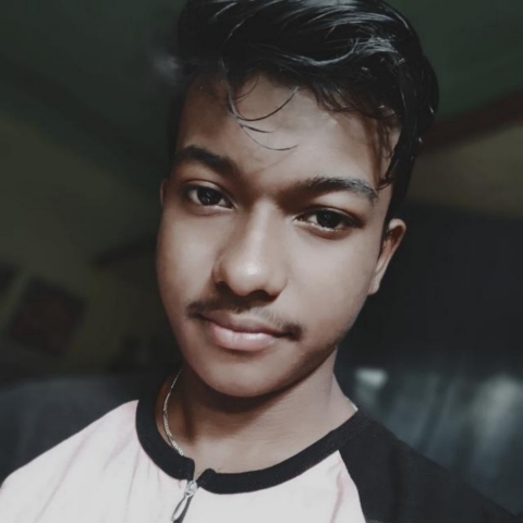 Amya Roy